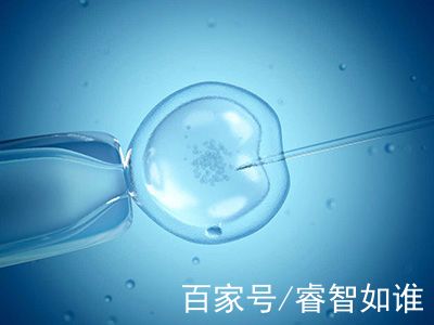 无精症